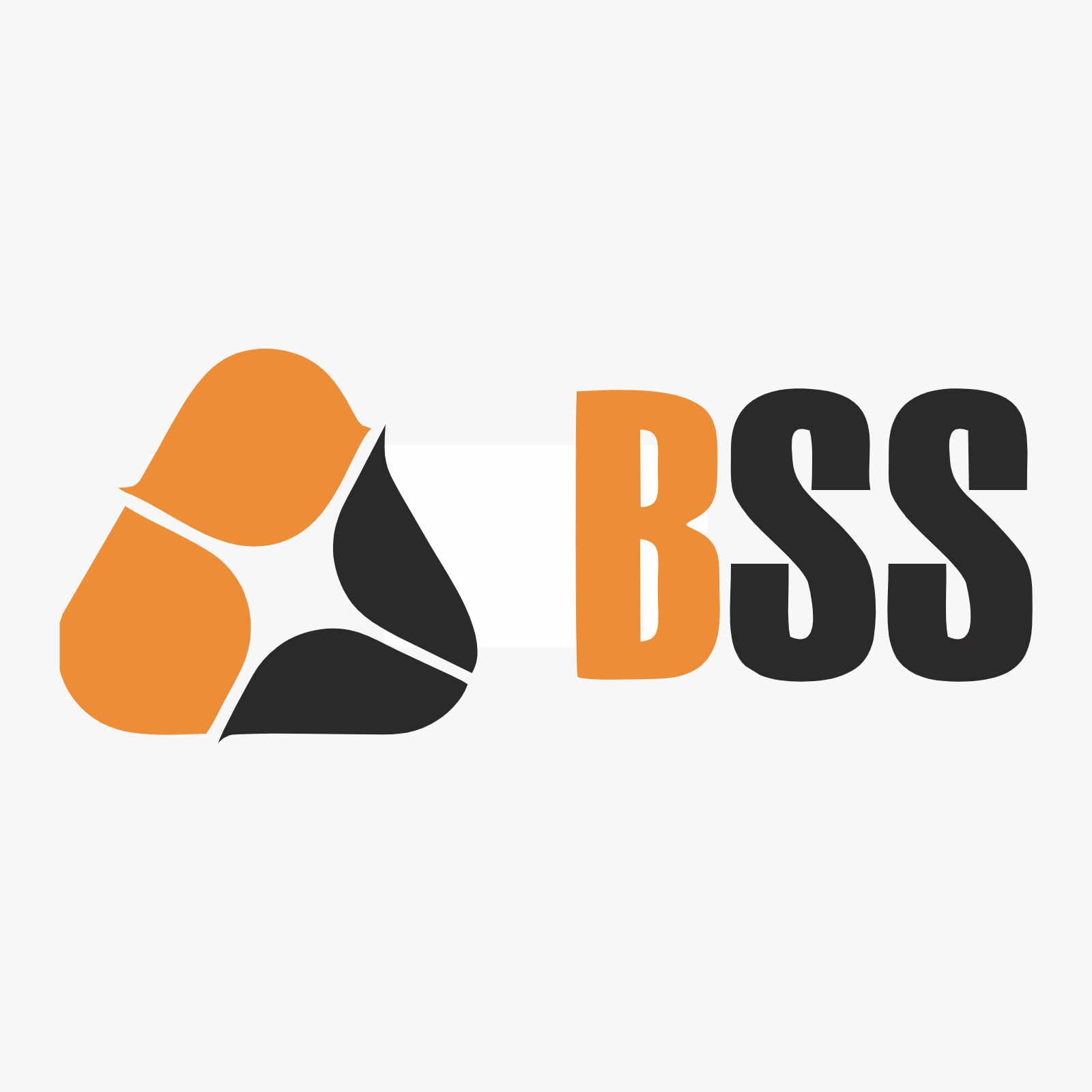 BSS MMC