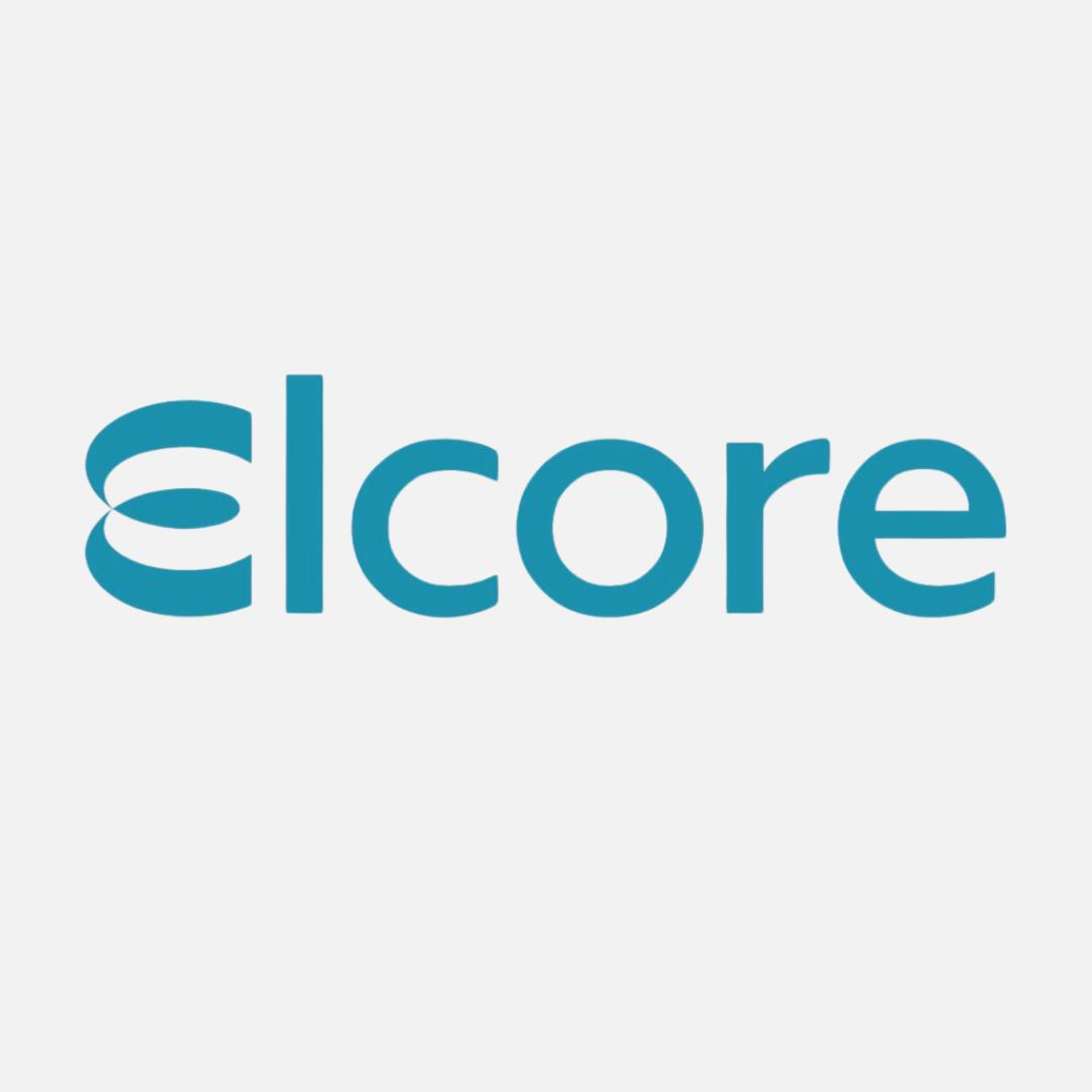 Elcore IT Distribution