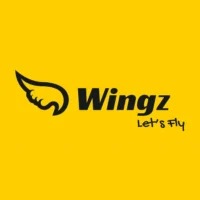 Vingz MMC