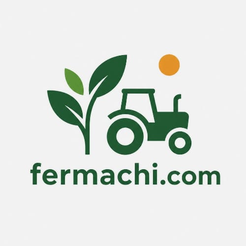 Fermachi