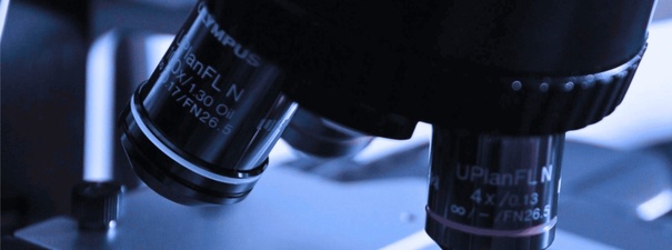 Xəzər Ekoloji Laboratoriyası MMC (XEL)
