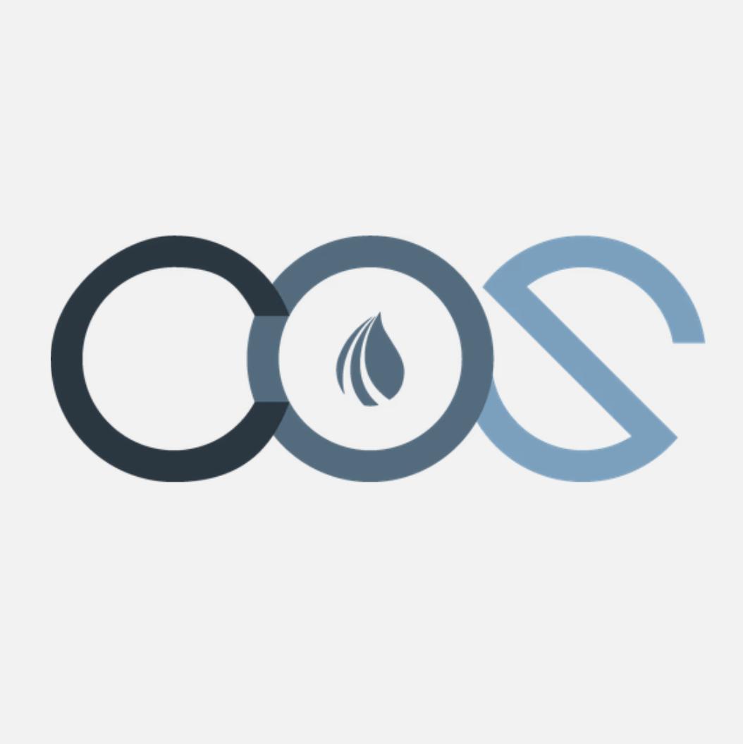 Caspian Oilfield Services Inc