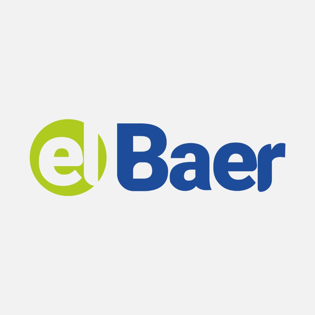 Elbaer LLC