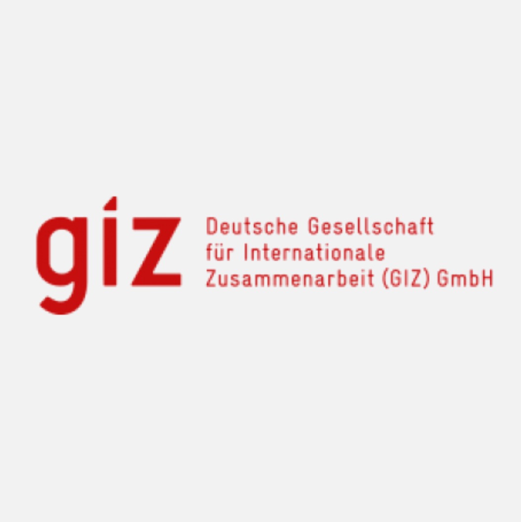 GIZ - Deutsche Gesellschaft für Internationale Zusammenarbeit GmbH