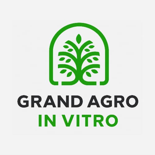 Grand - Agro İnvitro
