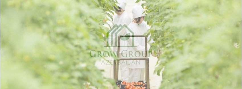 Grow Group Azerbaijan