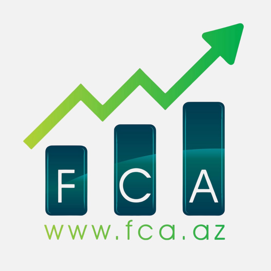 Finance Consulting and Audit